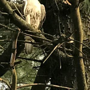 Meet your Posher, Noelle